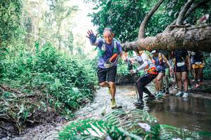 BIB: 
                            <button type="button" onclick="openModal(25466035)" class="btn btn-primary btn-sm float-right btn-popup" data-toggle="modal" data-target=".modal-high-quality">
                        <i class="fas fa-shopping-cart"></i> Add to Cart
                    </button>
                                            <button type="button" onclick="isThisMe(25466035, true)" class="btn btn-success btn-sm float-right btn-popup btn-isme hidden" data-toggle="tooltip" data-placement="bottom" title="นี่คือรูปของคุณใช่ไหม คลิกที่นี่เพื่อเอาเข้าอัลบั้ม">
                        <i class="fas fa-plus"></i> Add to album
                    </button>
                    <button type="button" onclick="isThisMe(25466035, false)" class="btn btn-warning btn-sm float-right btn-popup btn-isnotme hidden">
                        <i class="fas fa-ban"></i> Remove from album
                    </button>